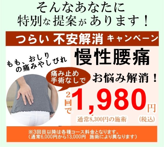 座間市で慢性腰痛にお悩みの方に当整体院からのご案内