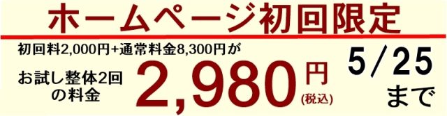 小田急相模原にある当整骨院のホームページ初回限定特別価格