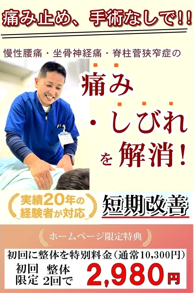 腰痛・坐骨神経痛・腰椎ヘルニア・脊柱菅狭窄症・首の痛みの改善治療